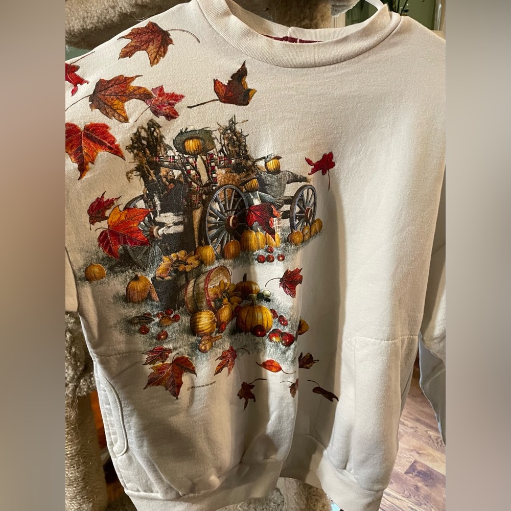 Vintage fall Autumn harvest sweater